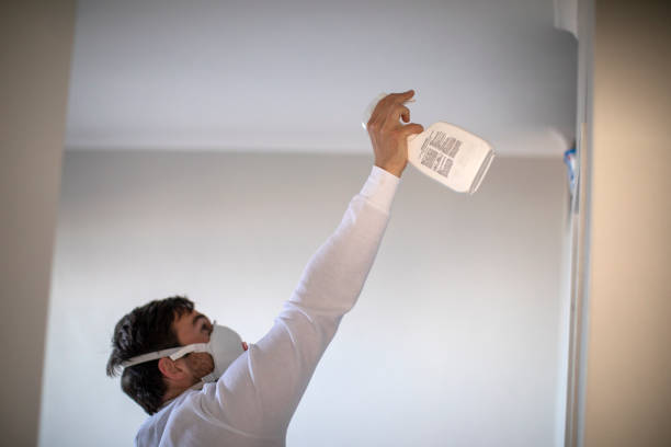 Best Local Mold Removal Service  in Rosewood Heights, IL